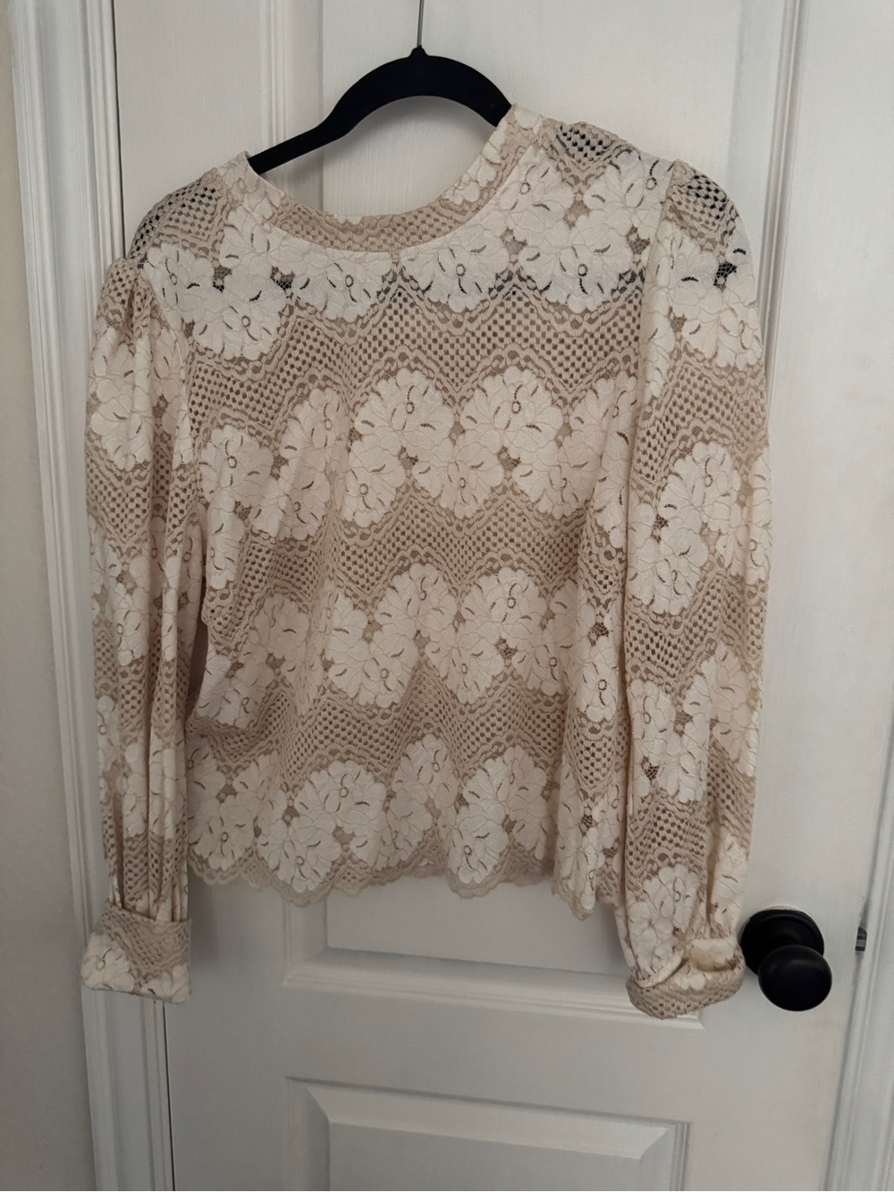 dolan Cream and Tan Lace Floral Long-Sleeve Blouse
